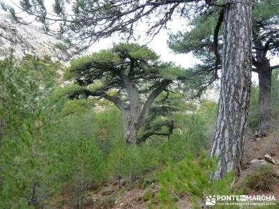 Cazorla - Río Borosa - Guadalquivir; viaje de fin de semana parque natural do xures viajes atapuerc